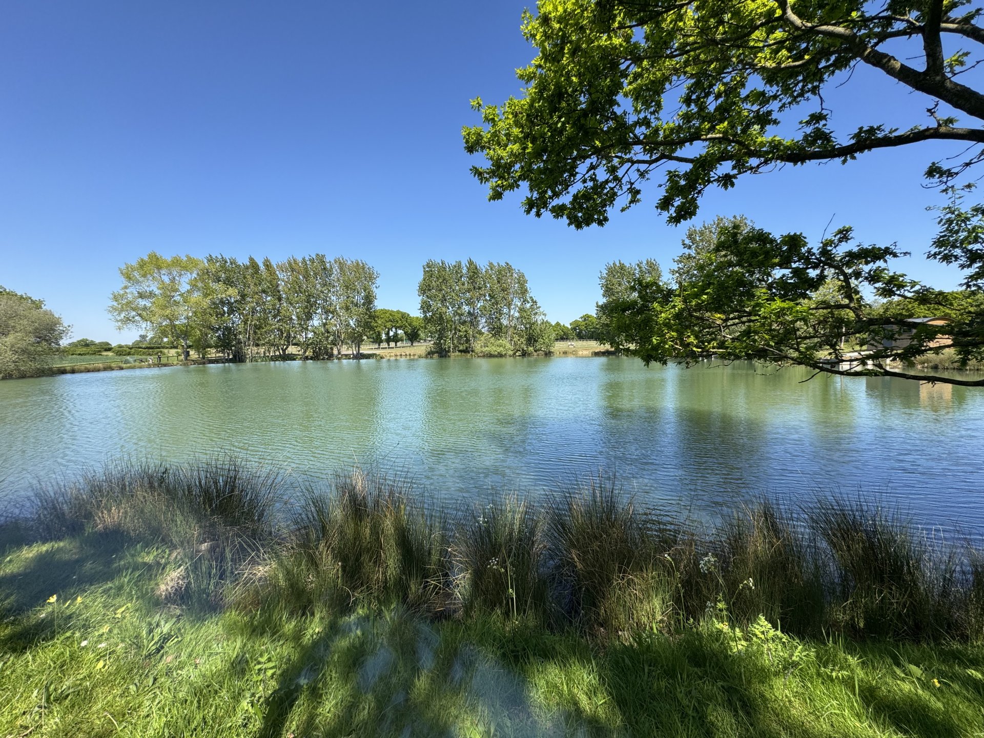 Summer views acroos the lake