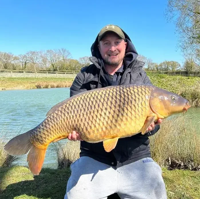Brilliant catch of this large Common Carp