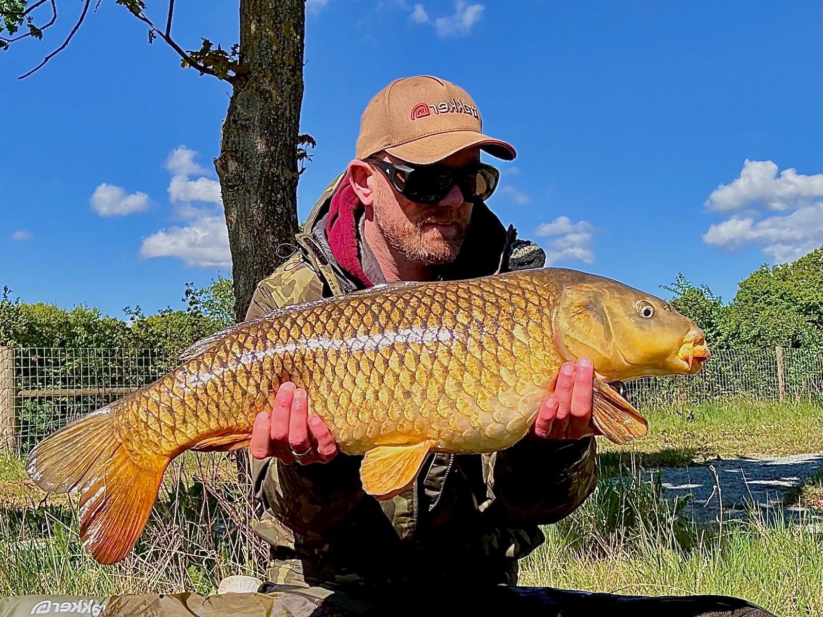A beautiful photo capturing this lovely Common Carp