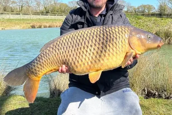 Carp caught at Lake Lodge