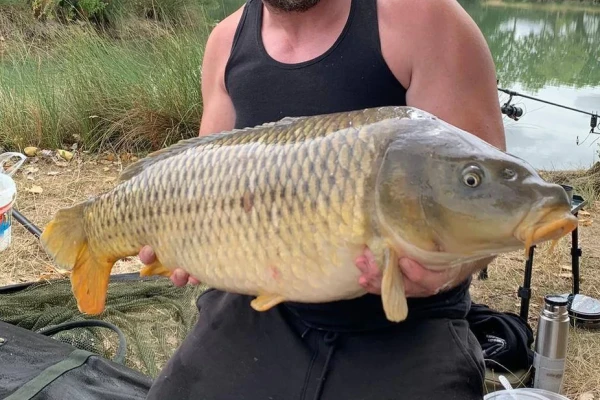 Carp caught at Lake Lodge