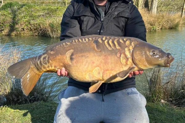 Mirror Carp caught at Lake Lodge
